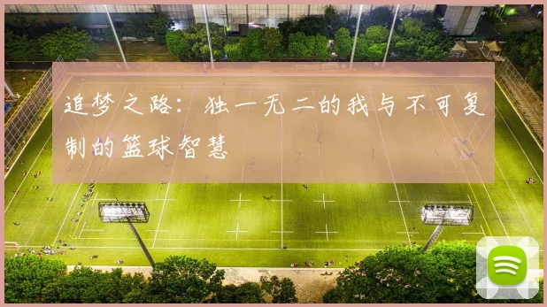 追梦之路：独一无二的我与不可复制的篮球智慧