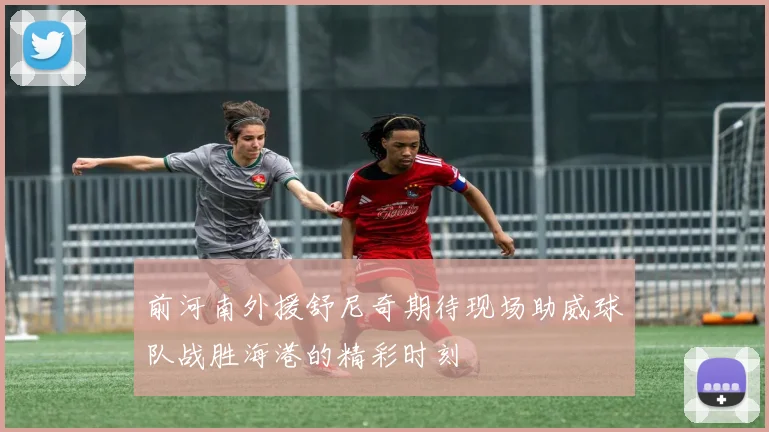 前河南外援舒尼奇期待现场助威球队战胜海港的精彩时刻